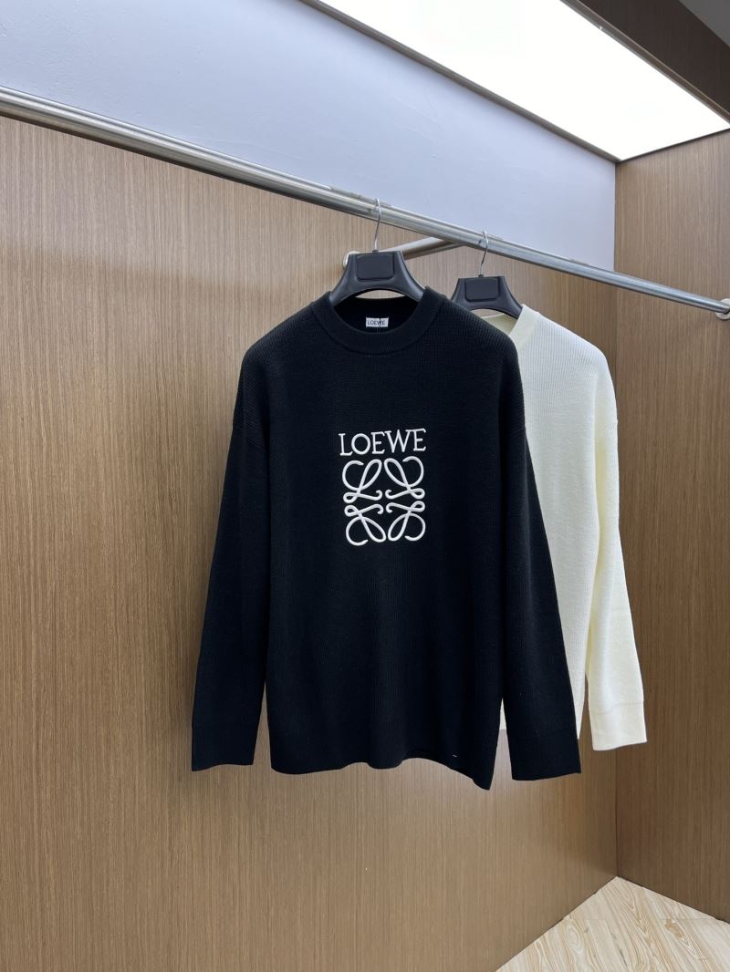 Loewe Sweaters